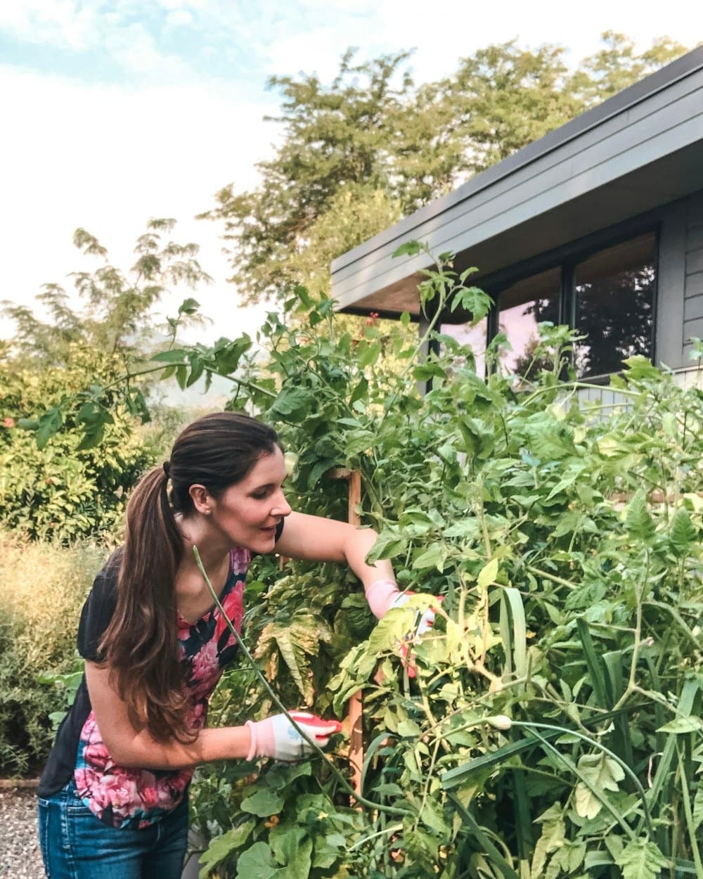 A home gardener harvesting fresh vegetables to cook