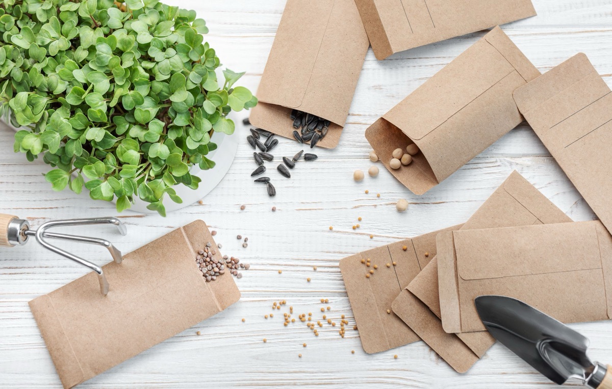 Seed Set